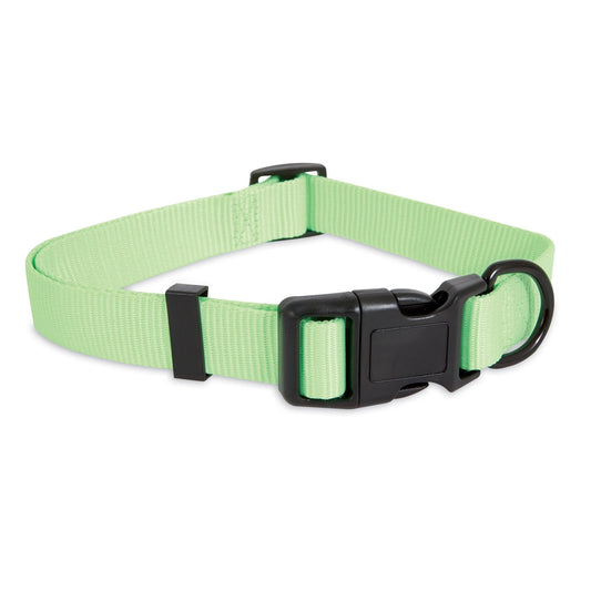 Aspen Pet Glow In The Dark Adjustable Dog Collar. SKUS: 02346,02347