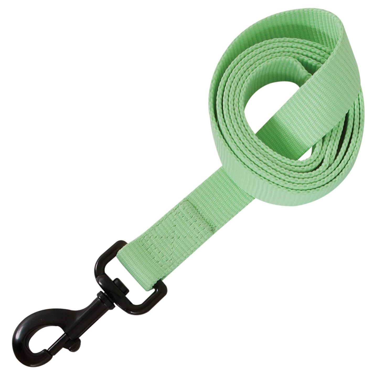 Aspen Pet Glow In The Dark Leash. SKUS: 02353,02348