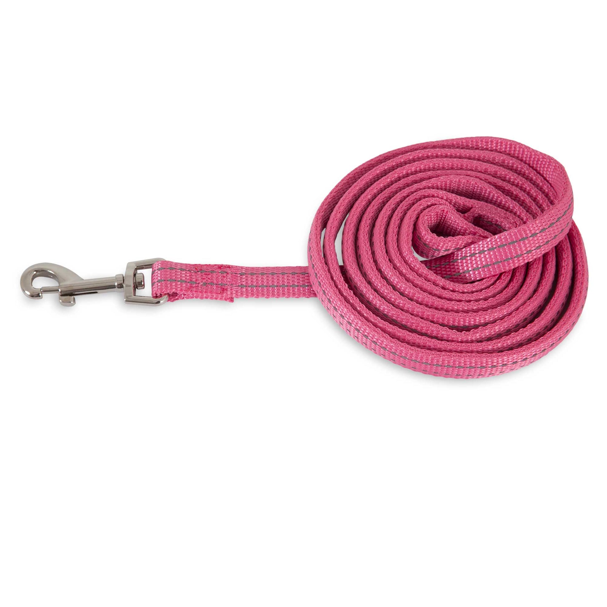 Petmate Padded Reflective Leash. SKUS: 0326165