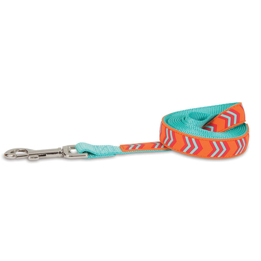 Petmate Orange Chevron Rubber Dog Leash. SKUS: 12407