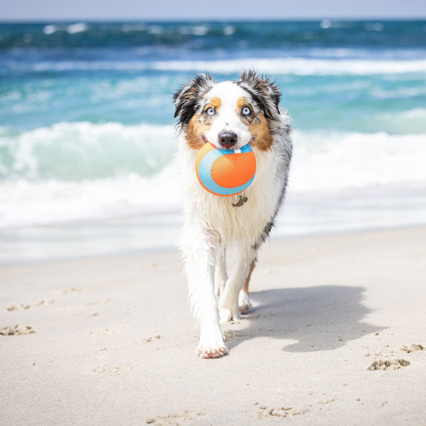 Chuckit! Amphibious Mega Ball