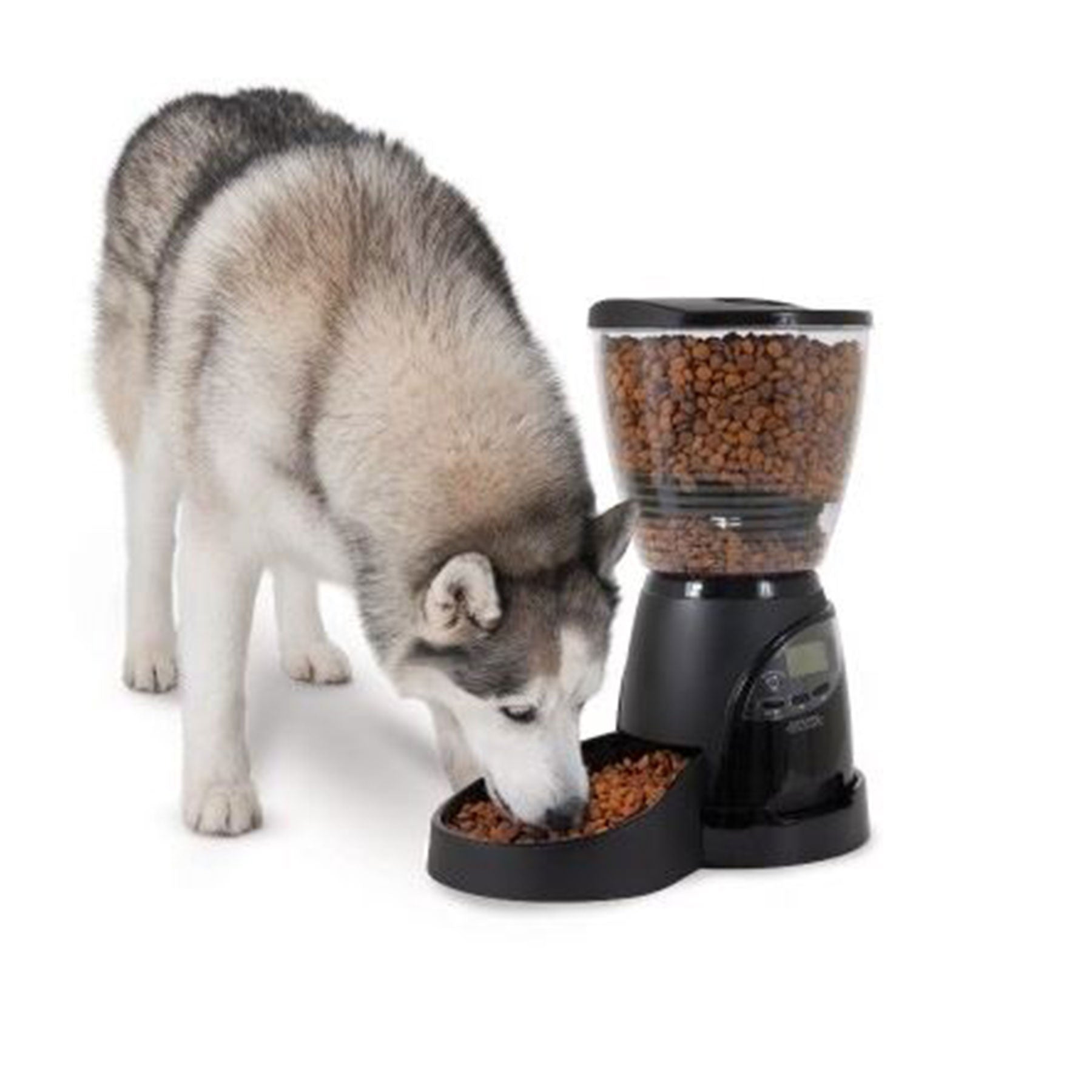 Aspen Pet Lebistro Programmable Food Dispenser