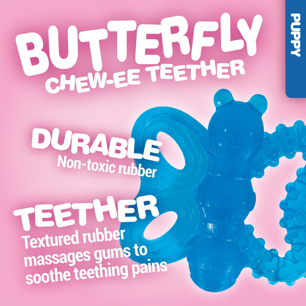 JW Butterfly Puppy Teether Chew Toy