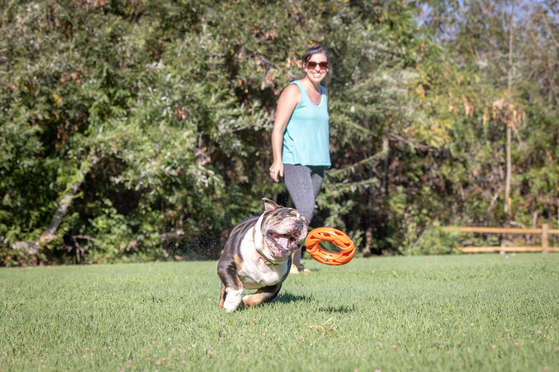 Chuckit! Air Fetch Wheel Dog Toy