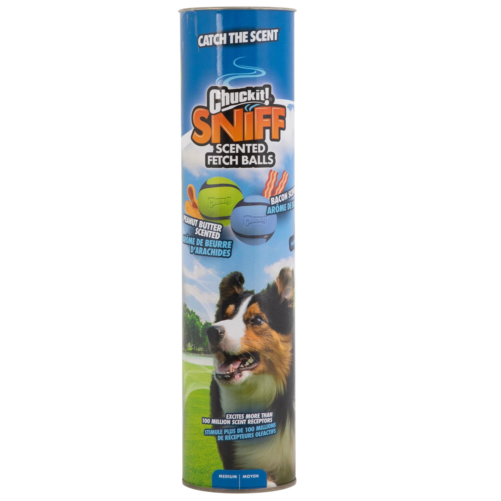 Chuckit Sniff Ball 4 Pack