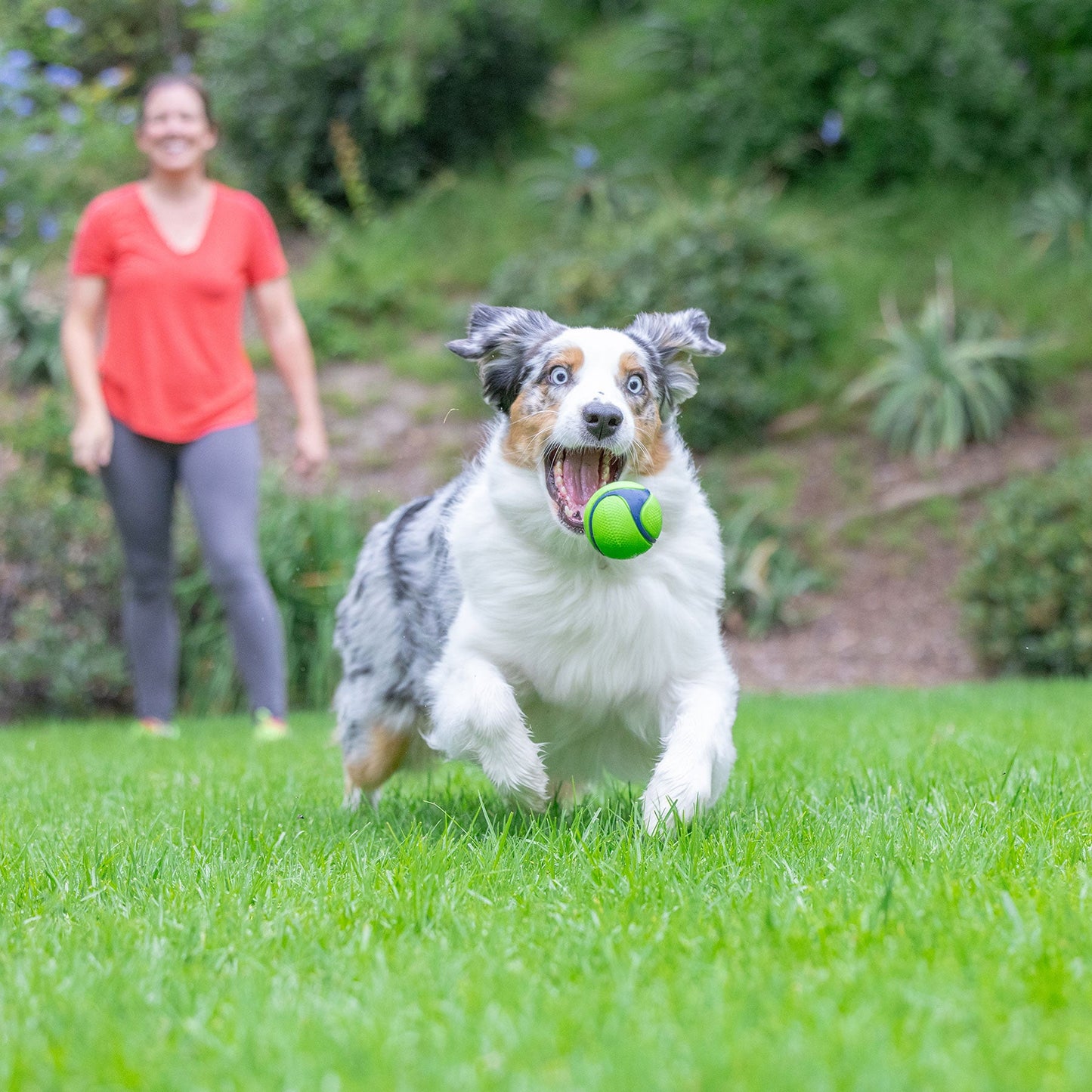 Chuckit! Peanut Butter Sniff Fetch Ball