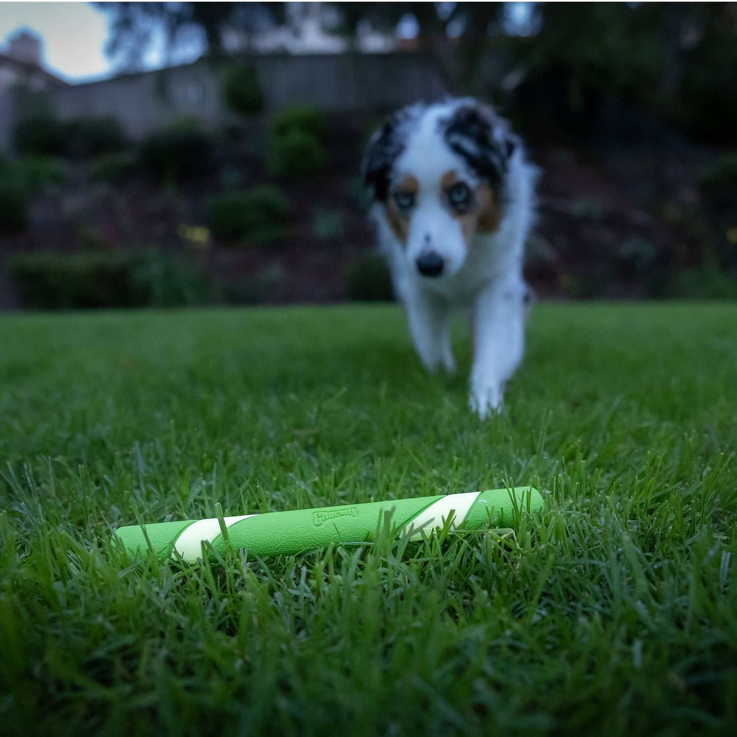 Chuckit! Max Glow Ultra Fetch Stick