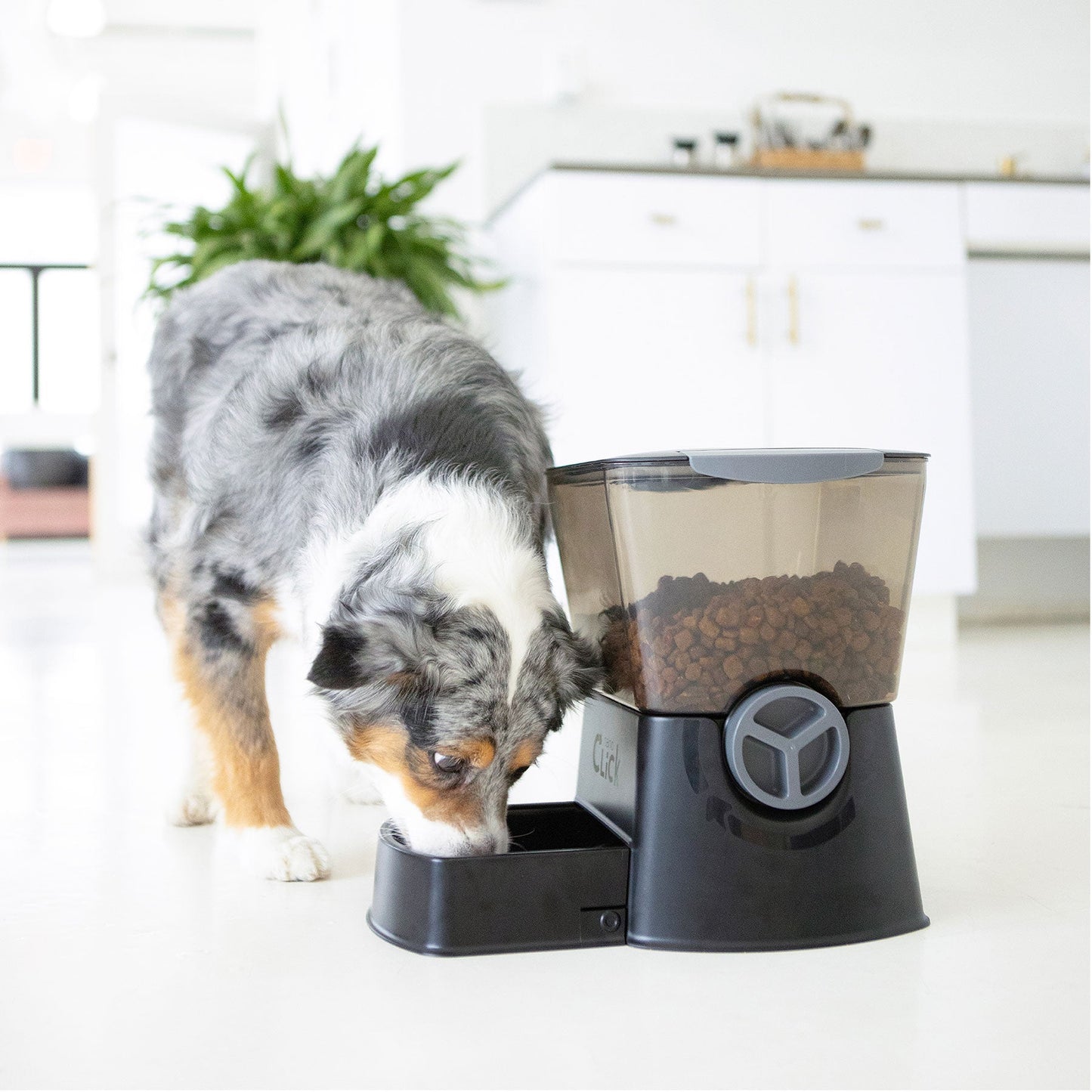 Nano Click Manual Pet Feeder