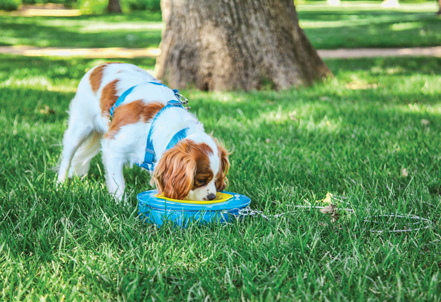 Aspen Pet Stay A Round - BLUE/YELLOW / LARGE