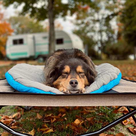 Chuckit! Travel Pillow Bed