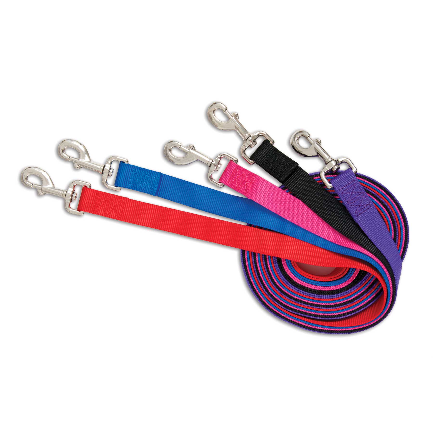 Petmate Nylon Standard Core Dog Lead