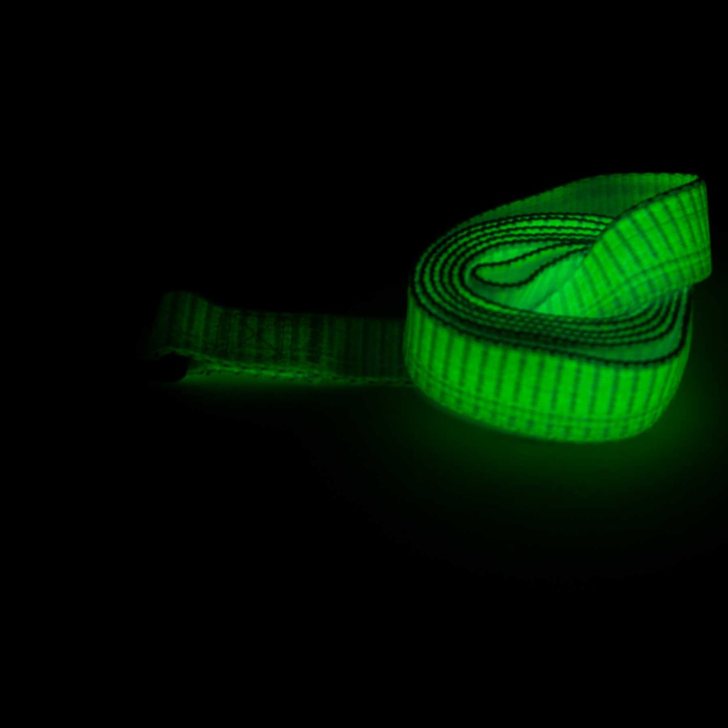 Aspen Pet Glow in the Dark Dog Lead