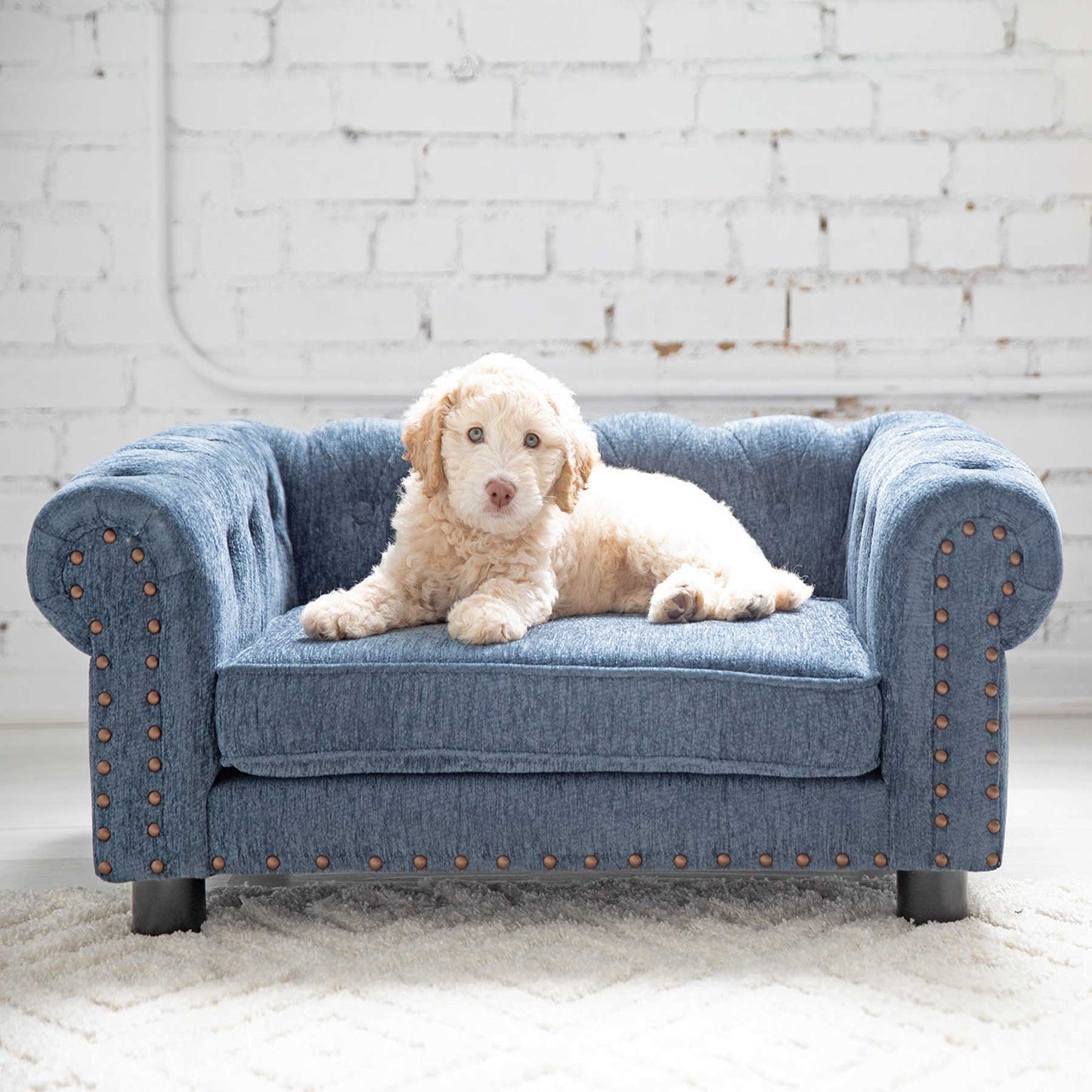 La-Z-Boy Tuscon Sofa Dog Bed