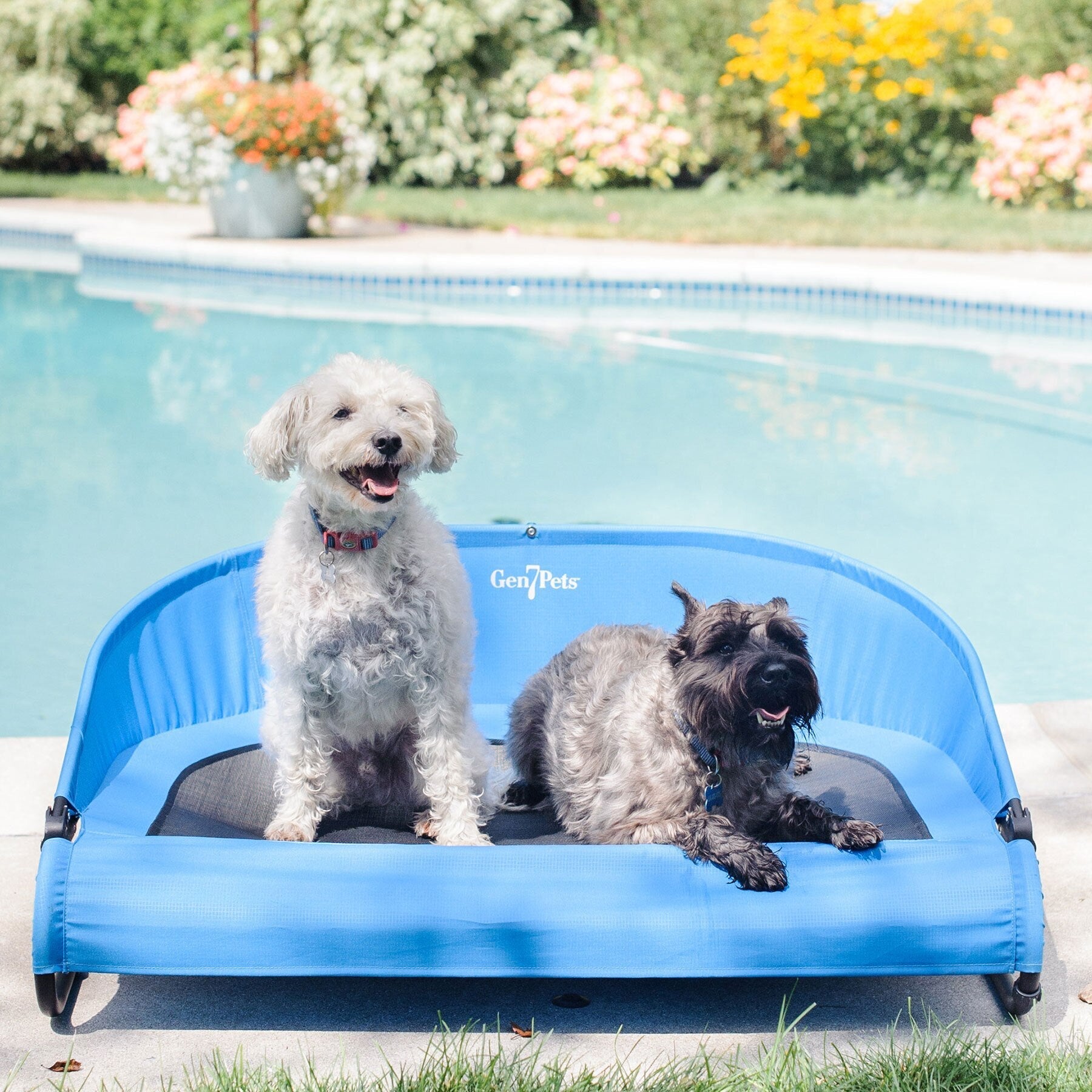 Gen7Pets Cool-Air Cot Pet Bed