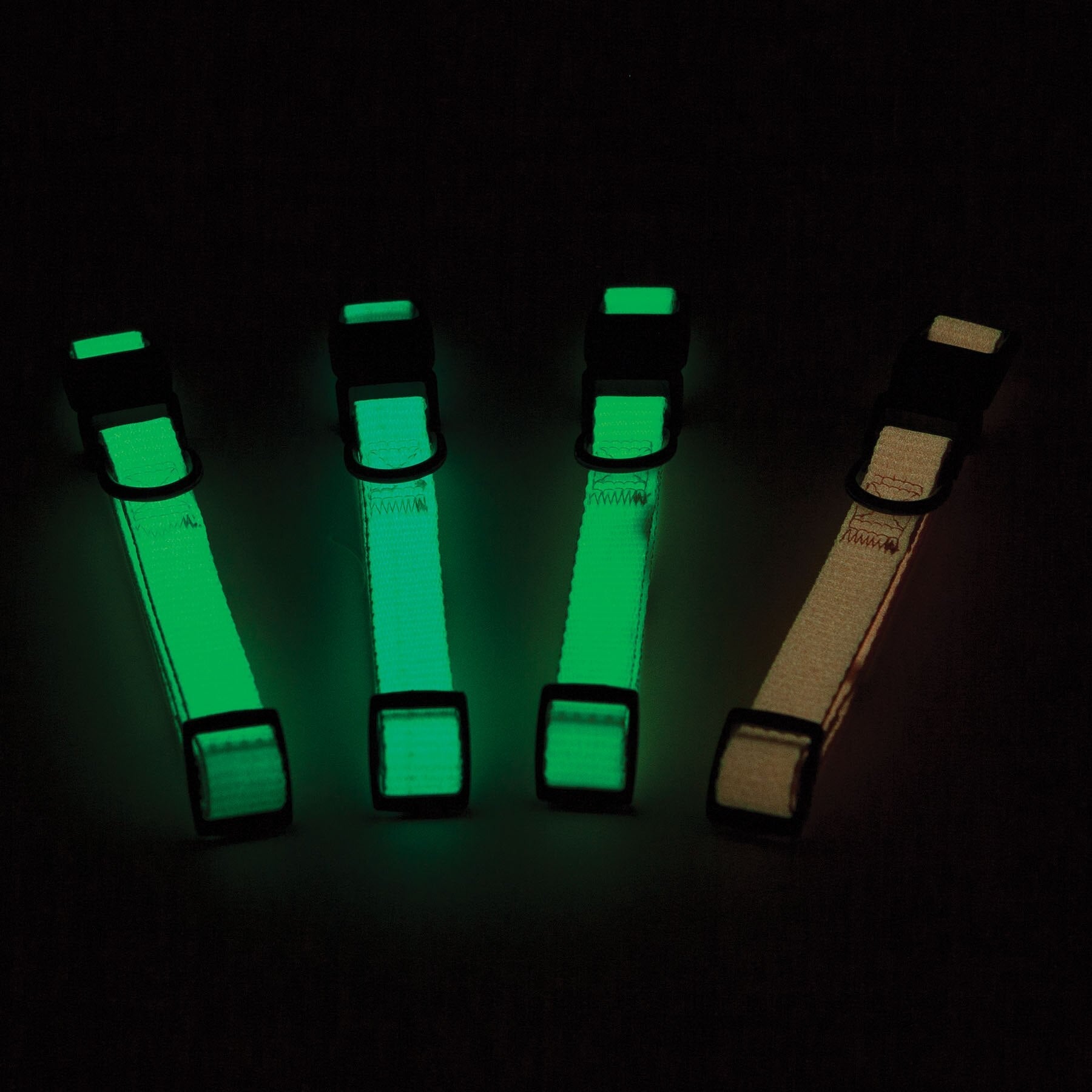 Aspen Pet Glow In The Dark Adjustable Dog Collar