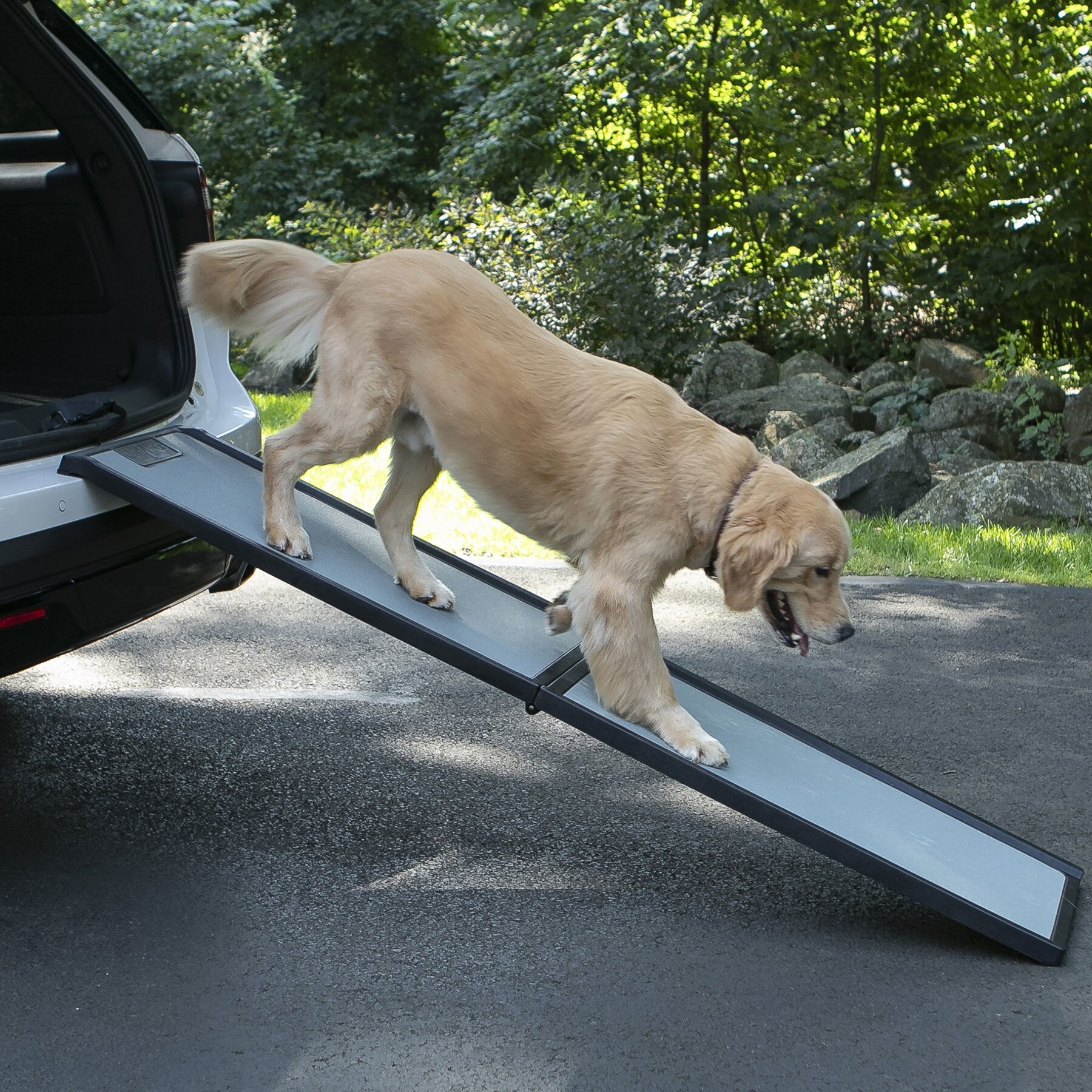 Gen7Pets Feather Lite Ramp for Vehicles