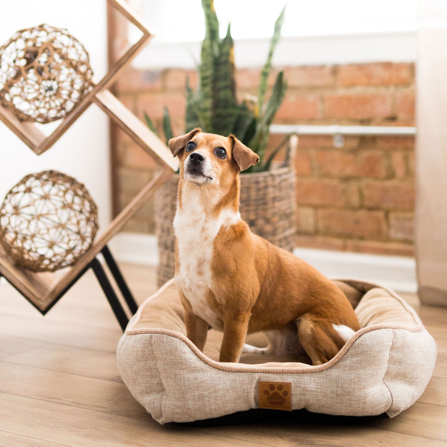 SnooZZy Rustic Drawer Pet Bed - Buff