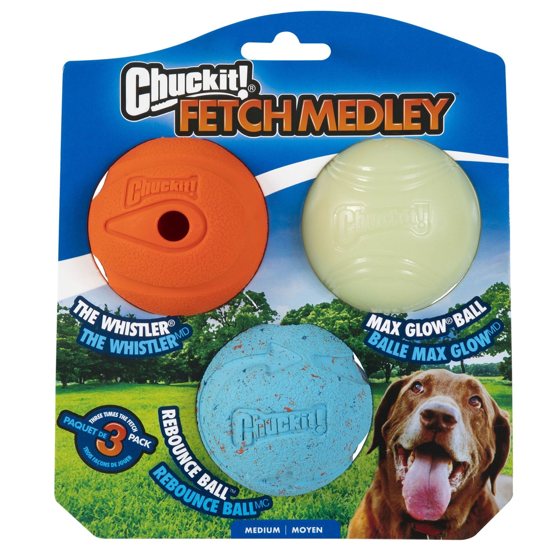 Chuckit! Medium Fetch Medley Dog Ball Set