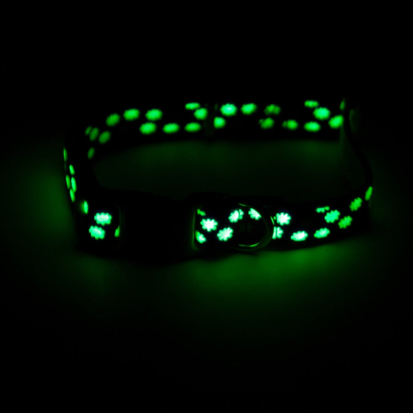 Petmate Tossed Stars Glow in the Dark Dog Collars