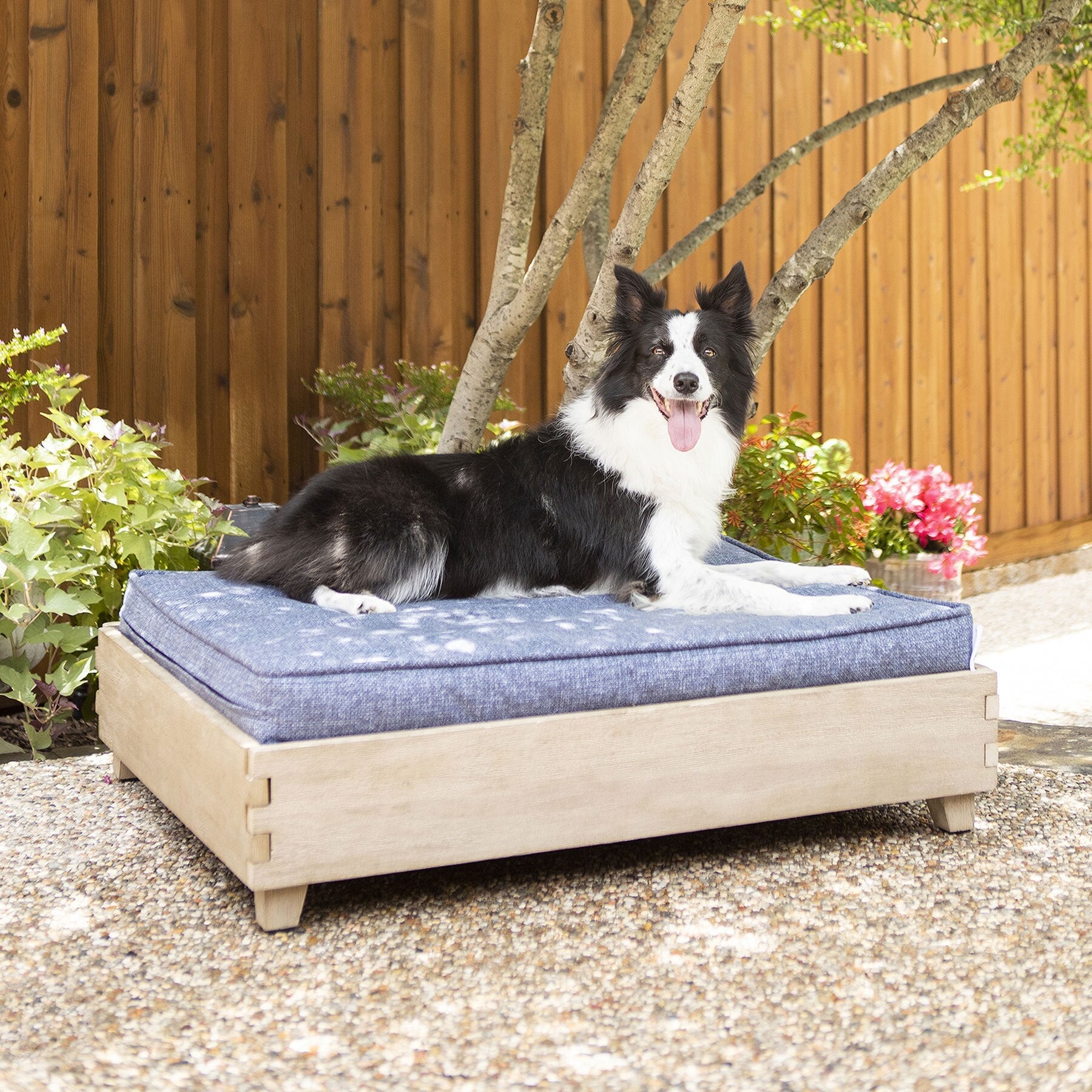 La-Z-Boy Outdoor Bailey Elevated Dog Bed