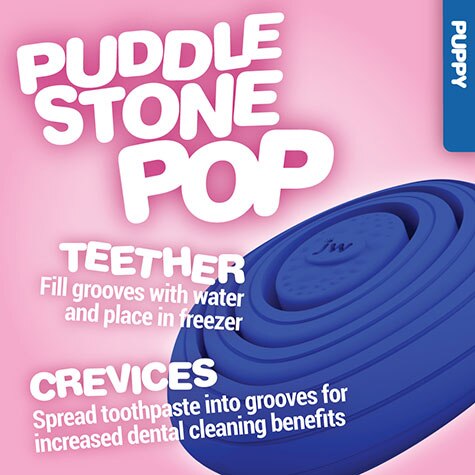 JW Puddle Stone Pop Puppy Teether Chew Toy