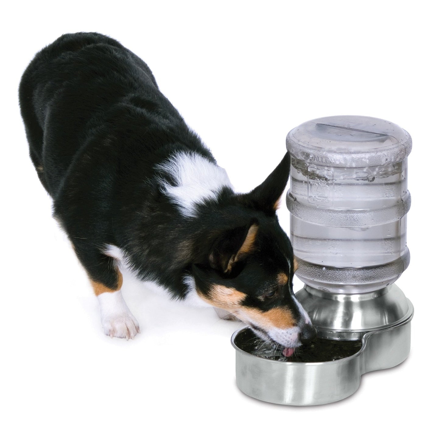 Petmate Stainless Steel Replendish Waterer 1-Gal