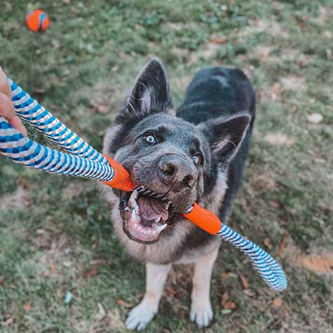 Chuckit! Mountain Rope Tug