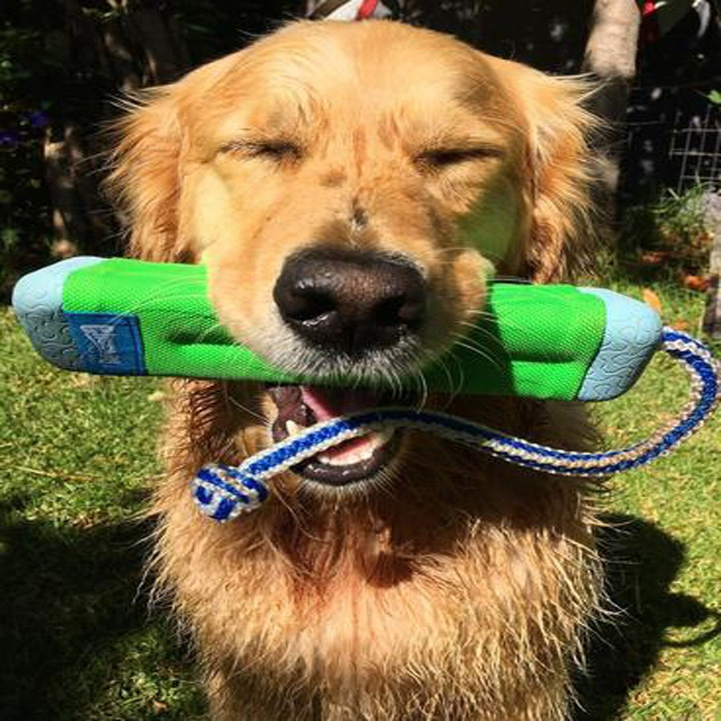 Chuckit! Amphibious Bumper Floating Dog Toy