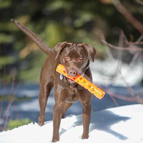 Chuckit! Air Fetch Stick Dog Toy