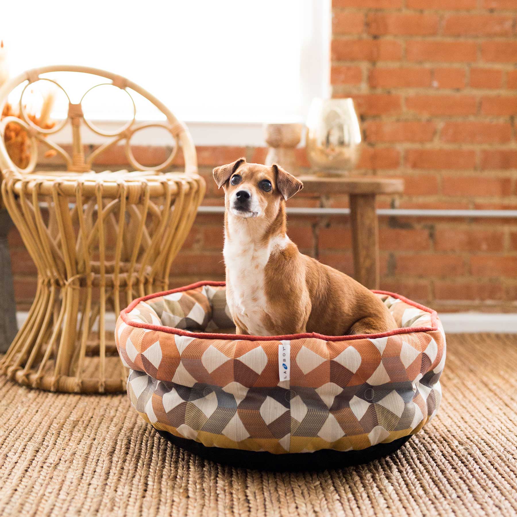 La-Z-Boy Citrus Ginger Cuddler Pet Bed