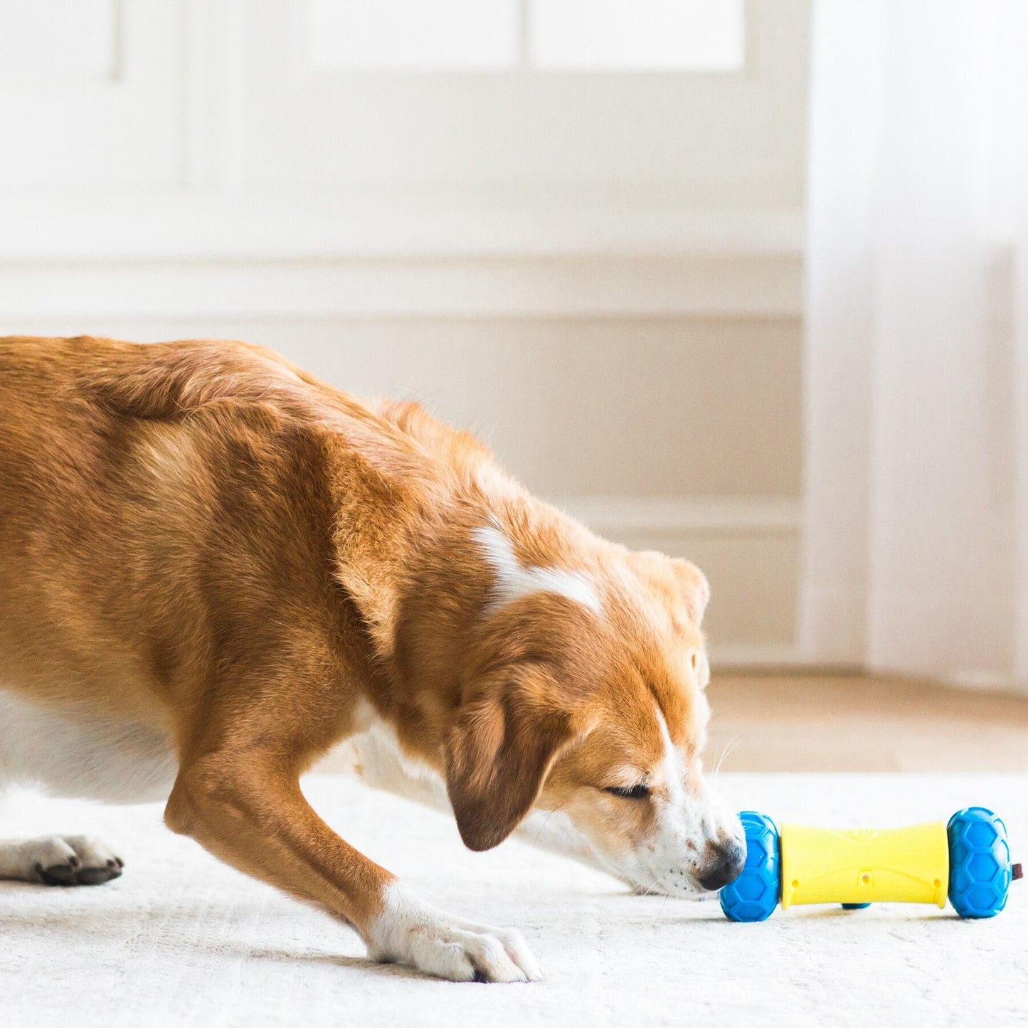 JW RoboBone Electronic Treat Dispensing Dog Toy