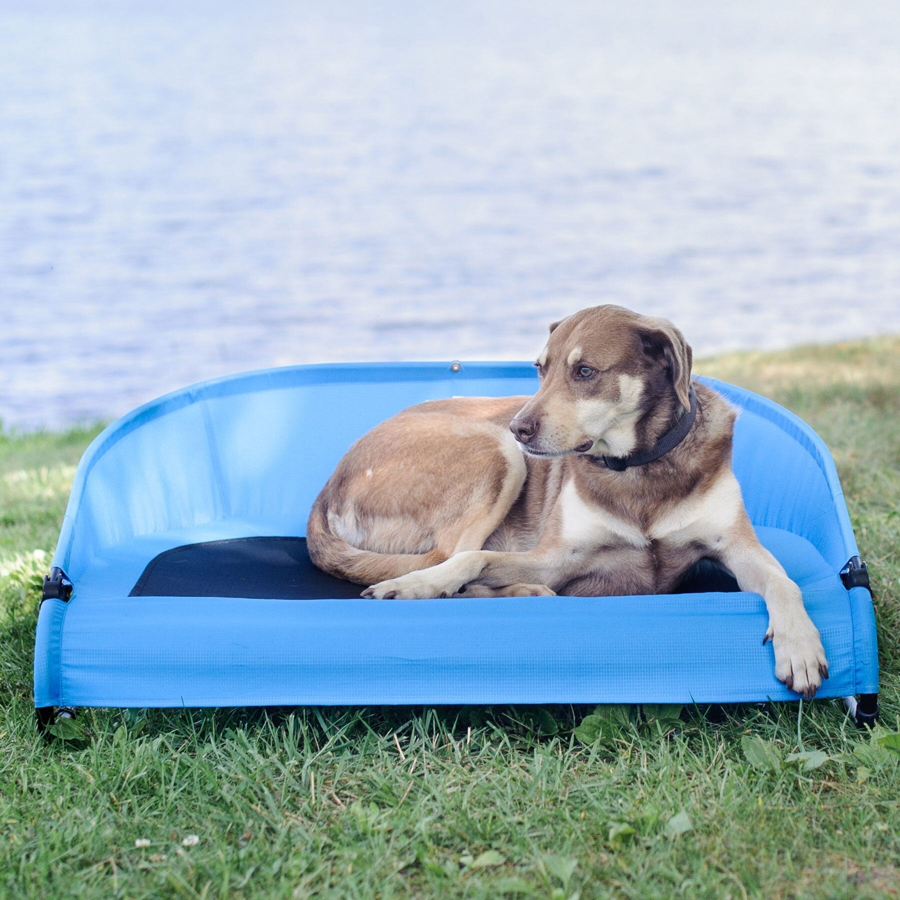 Gen7Pets Cool-Air Cot Pet Bed